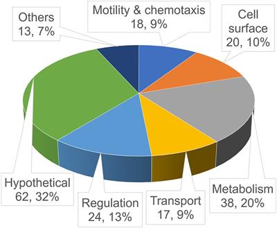 Impact of Gene Repression on Biofilm Formation of Vibrio cholerae